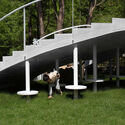 Circle Pit / Studio Clash - Exterior Photography